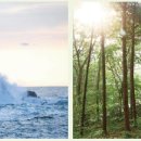 삼성중공업거제호텔 이미지