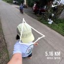 BREEZE ISLAND | 보홀만 4번째인 사람이 떠난 보홀 가족여행 DAY3-5:보홀맛집 뿌셔뿌셔/보홀쇼 솔직후기...