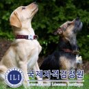 무료로 반려동물 자격증 배우기