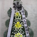 노좌1리 이미지