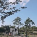소길숲속 민박 이미지