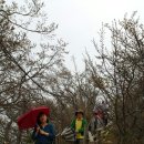 행복한 맛 이덕 이미지