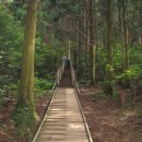 수망리청년회 이미지