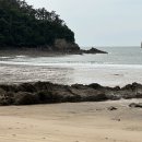 백리포 해수욕장 | 태안 바닷가 캠핑장 바다와파도소리 백리포해수욕장 프라이빗한 오션뷰