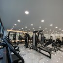 피에스핏 이미지