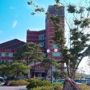 덕산온천 이미지