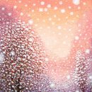 일기일회 이미지