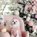 가온펫샵 이미지