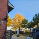 이마트24사직로점 | 가을 대형 은행나무 명소 단풍 테라스 카페 추천 스태픽스 서촌 낮 오후 늦오후 어두울때 저녁 밤 후기