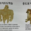 리마영어학원