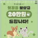 광주 강아지분양 고양이분양 어반펫 광주본점 | 고양이와의 첫 만남 광주 강아지분양 고양이분양 어반펫 광주본점에서의 감동