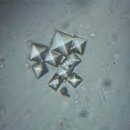 압구정메이트동물병원 이미지