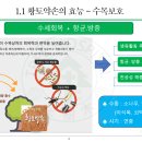 약손 이미지