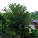 추동마을 이미지