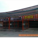 셀세모용인