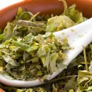 민들레한의원 이미지