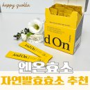 소화 17 | 소화 안 될 때 먹는 효소 추천 | 자연발효 스위치온 엔온효소 솔직 후기