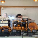 세종로45번길~세종로67번길~세종로 | [공지] 천하제빵 참가자 장경주 파티셰 제과기능장 여주 카페 드롭베이커리 치아바타 메뉴 단골 추천...