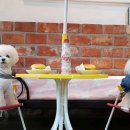 신우동물약품 이미지