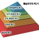 휴먼니즈