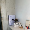 오마이BOB 이미지