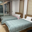 더끌림 호스텔 이미지