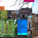 금란한우농장 이미지