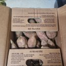 진산농장3 이미지