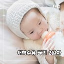 벌떡 수유점 | 새벽수유 끊는법 8개월 아기 새수 끊기 2일차 기록