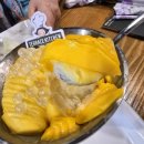 성심당 테라스파크에서 먹었던 생망고빙수 후기