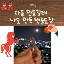 내돈내산 아이디어스 적토마 탯줄도장