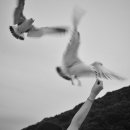 석모도농산물