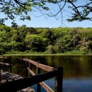 물영아리오름 이미지