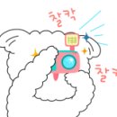 꽃다담 네이버블로그
