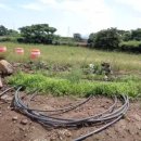 한림민속오일시장(한림오일시장) 이미지