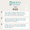 HERTZ(헤르츠) 이미지