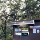 문경 오미자테마터널 | [경북/문경] 문경 오미자테마터널 후기 ｜시원한 터널 속 특별한 체험