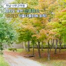 나무고아원입구 | 하남 가볼만한곳 나무고아원 아이와 단풍나들이 딱 주차정보포함