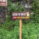 곰돌이광고기획 이미지