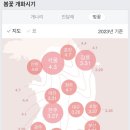 2023 대청호 벚꽃길 마라톤 대회 이미지