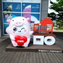 밀양아리나관광안내소 이미지