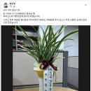 박은정의원 “잘 키워서 윤석열 대통령이 물러날 때, 축하 난으로 대통령실에 돌려드리겠다” 이미지