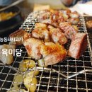 동탄 맛집 능동 고기집 육미담 숙성 삼겹살 구이