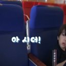 [슈돌] 추호네 막내아들 진우 : 시펄ㅌ,씨펄 (feat. 싯벨트) 이미지