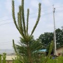 우경농원 이미지