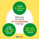 안쌤독서논술