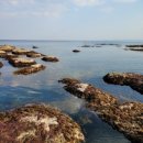 대한민국에서 가장 아름다운 해파랑 길 다섯 번째를 한 달 연기해서 걷습니다.- 포항 송도해변에서 영덕 장사해변까지- 이미지