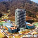 희망대로 이미지