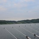 두량저수지 이미지