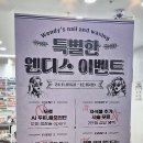 웬디스 네일 앤 왁싱 공덕점 이미지